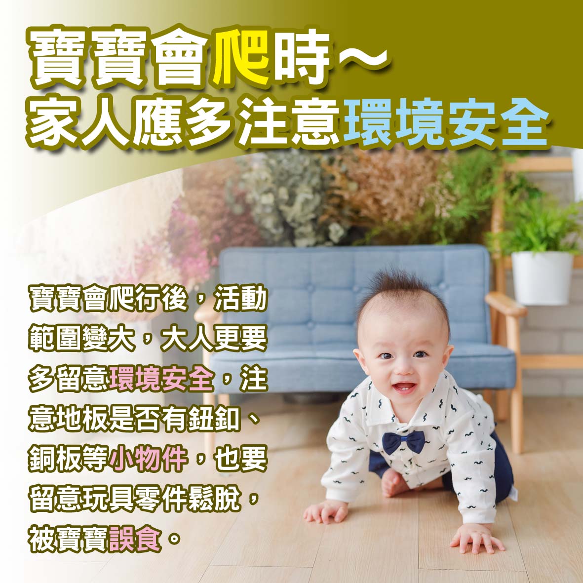 寶寶篇第29週-寶寶會爬時～家人應多注意環境安全文章照片