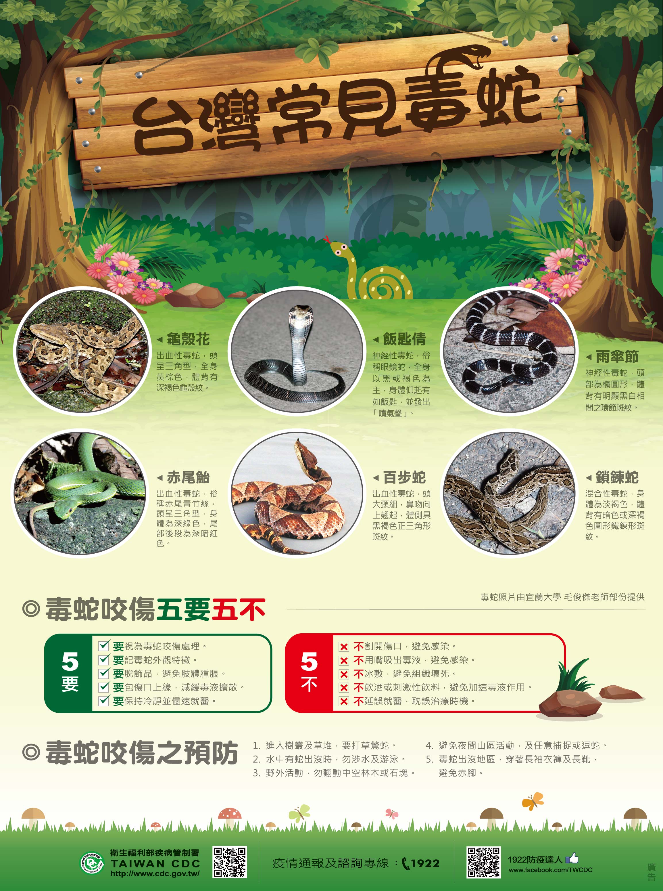 台灣常見毒蛇
