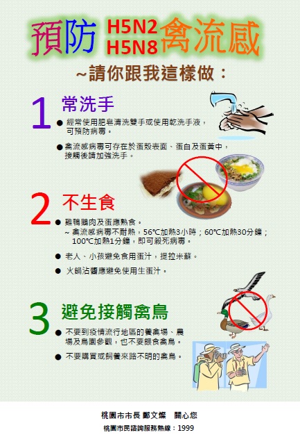 預防禽流感文章照片